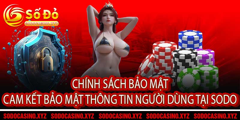 Chính Sách Bảo Mật Cam Kết Bảo Mật Thông Tin Người Dùng Tại Sodo.jpg
