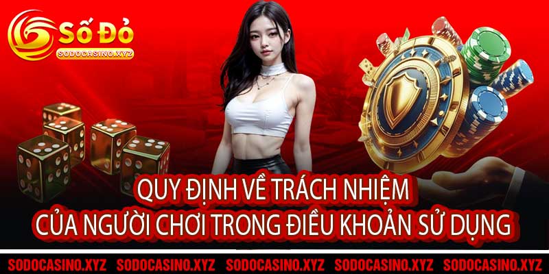 Quy Định Về Trách Nhiệm Của Người Chơi Trong Điều Khoản Sử Dụng